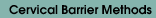 Cervical Barrier Methods